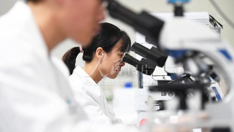 CRO优化培训费用：揭秘医药研发背后的关键投入