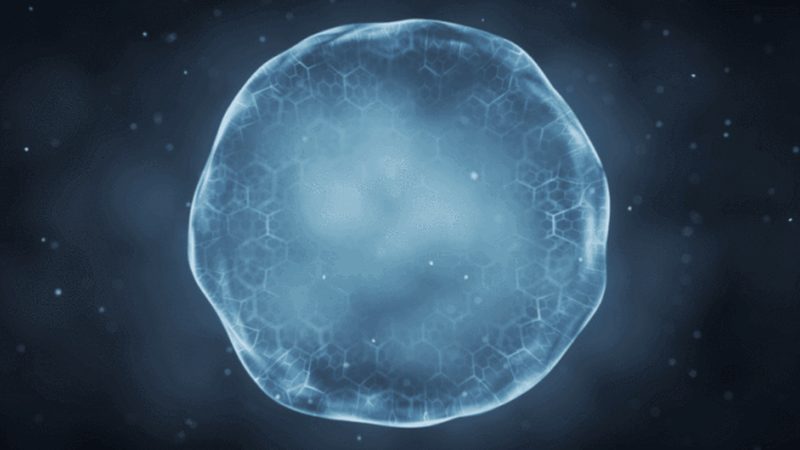 杭州生物科技有限公司