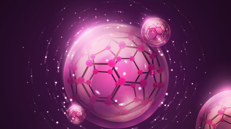 细胞培养基与微生物培养基：差异与选择要点