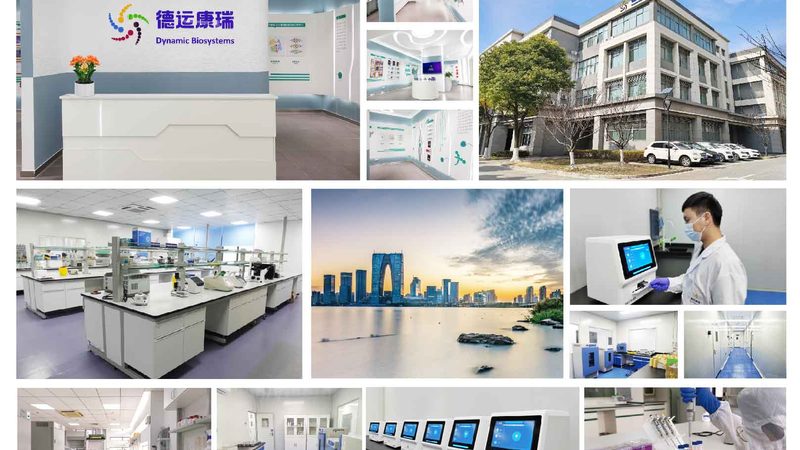 基因检测与基因筛查：揭开二者的神秘面纱