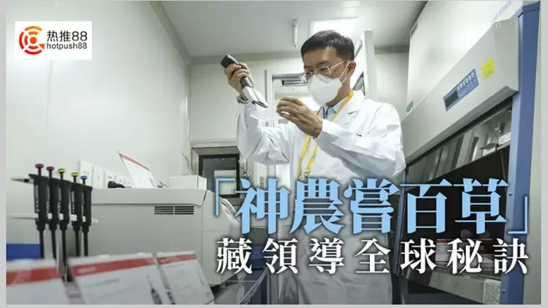 基因检测与基因筛查：揭秘两者间的微妙差别