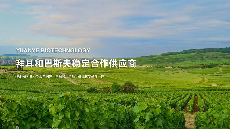 生物试剂区域代理，从选品到落地的四个关键动作