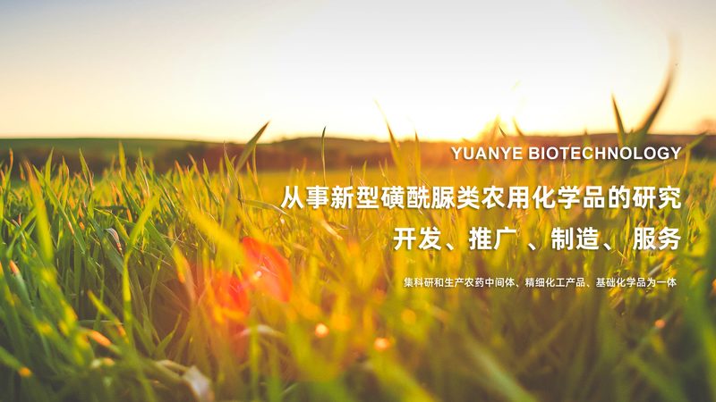 北京生物科技研发岗位到底看什么