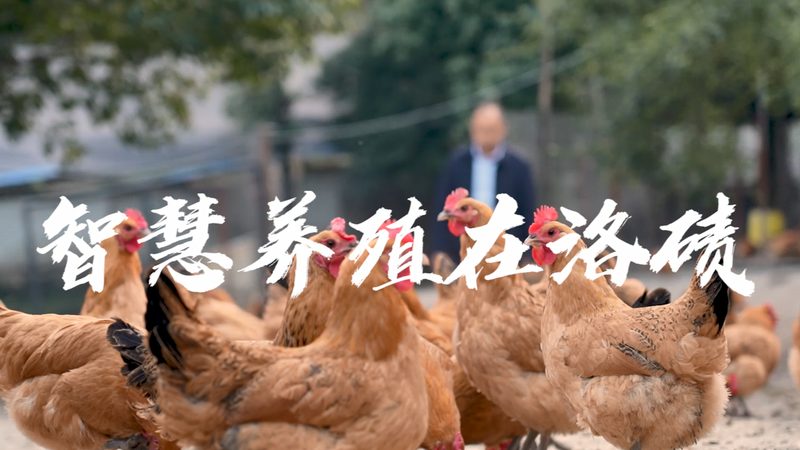 细胞培养行业标准规范：揭秘其背后的严谨与科学