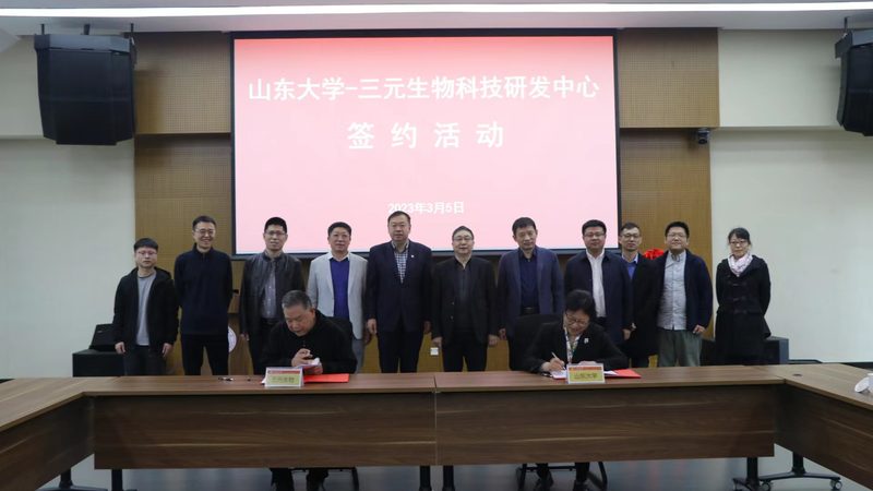 揭秘CRO代理加盟：费用构成与考量因素