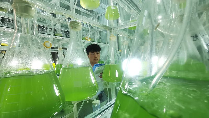 引物合成：精准科研的基石，注意事项大盘点